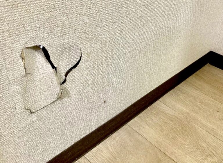 壁に開いた穴と破れた壁紙